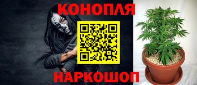 не бодяженный Бердск